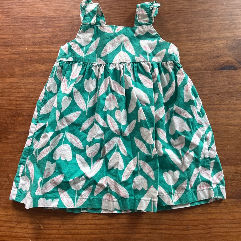 Carter's Green and Pink Floral Dress